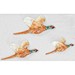 Norton Nut's Beswick - Pheasant Wall Plaques Complete Set