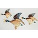 Norton Nut's SylvaC / Falconware - Flying Duck Wall Plaques